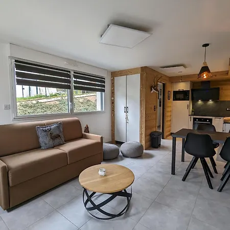 Apartment Familial Proche Et Centre A - 4 Pers, Animaux Admis - Fr-1-589-818 Gérardmer