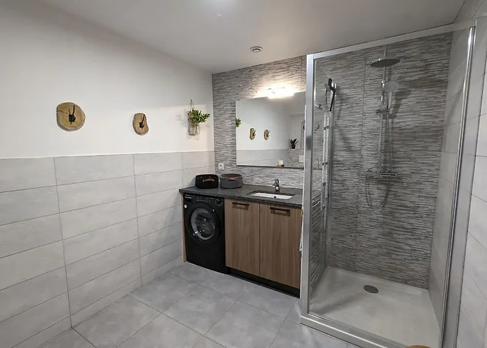 Familial Proche Et Centre A - 4 Pers, Animaux Admis - Fr-1-589-818 *