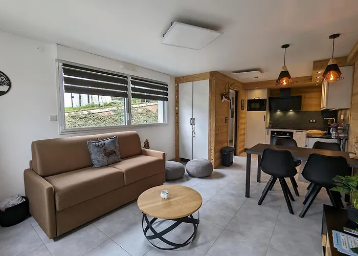 公寓 Familial Proche Et Centre A - 4 Pers, Animaux Admis - Fr-1-589-818 热拉梅